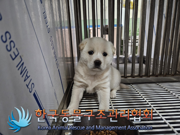 한국동물구조관리협회_441406202402023